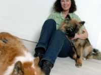 Super-Hund in Bergedorf, Reinbek, Wentorf