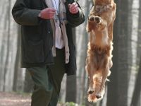 Hundeschule ROKO's Dog Training in Ingelheim/Rhein