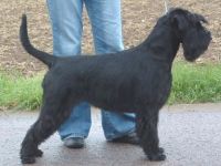 von der Thelersäule