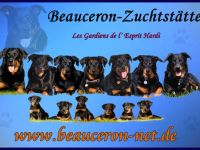 Les Gardiens de l’Esprit Hardi