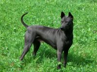 von den drei Kaiserbergen