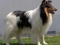 Flash von Camperville