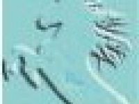 Naturheilkundliche Pferdepraxis Diana Holderegger