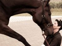 Tierphysiotherapie Soest