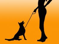 Verhaltensberatung, Verhaltensschulung sowie hervorragende Grundausbildungen