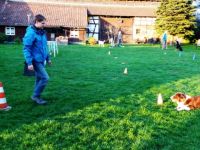 Hundeschule TeamWork