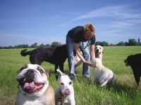 Hundepension Just for Fun