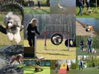 DPK Bezirksgruppe Lünen-Unna in 44536 Lünen-Brambauer