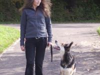 Hundeschule & Verhaltensberatung Nadin Riderer