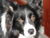 Middle of Marvelous Woods