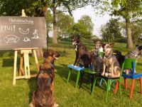 Hundeschule Heck