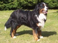 vom Sandmännchenhof