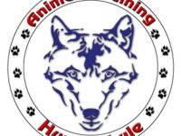 Hundeschule Animal Training für Berlin und BB