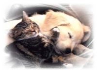 Zeit für uns! Tierheilpraxis Ursula Kranz