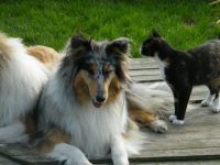 From Nelly`s Paradise