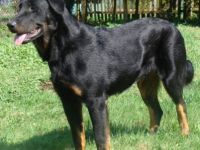 Du Gardien de la Puissance