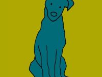 Hundeversität - Individuelles Hundetraining