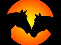 Mobile Tierheilpraxis u.Telefonische Beratung Gabriele Heil (VDT)