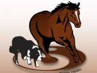 Tierphysiotherapie, Tierosteopathie für Klein- und Großtiere