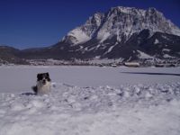 Am Sonnenfels Boutique-Apartments