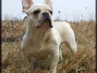 "Sam from Iron County"