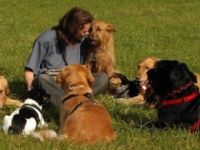 wedel wedel Hundeschule Stuttgart