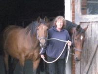 Tier-Naturheilkunde-Wulfsbarg