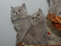 aus der Klosterstadt & vom Rossenrayer See