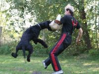 Sporthundeverein Lübben