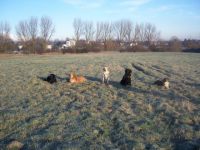 Pfotenakademie Ruhrgebiet