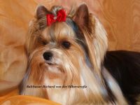 Balthasar-Richard von der Silberstraße