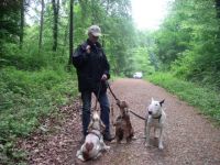 Cor Caroli`s Hundeverhaltenstherapie