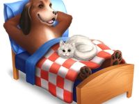 1aa Hundehotel Pohlmeyer Walsrode