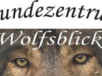 Hundetagesstätte "Wolfsblick"