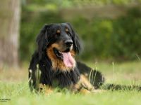 vom Wintersteiner Hofgarten