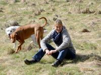 Hundetrainer Harburg