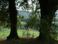 Hundepension Zaubermöndli