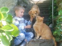 Appartementhaus Linter -Südtirol