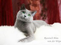 von der Weper