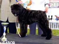 de la Colline Verte Dijon