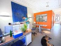 Hamburg: Tiermedizin am Rothenbaum