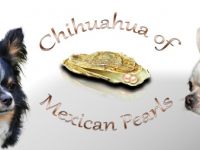 of Mexican Pearls