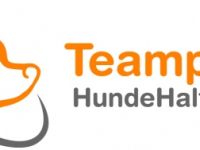 Teamplayer HundeHalterSchule