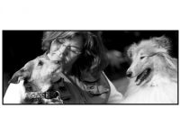 HundeZentrum auf der Helle