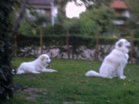 Vom grossen Burggraben