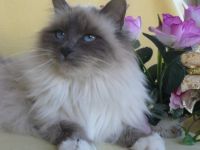 Von der Johannishöhe