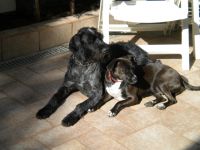 Haus Seemuschel Grömitz