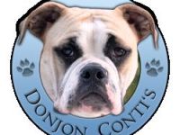 DonJon Conti's