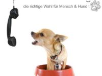 Hundestube Hamburg