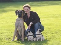 Jennys Mobile Hundeschule